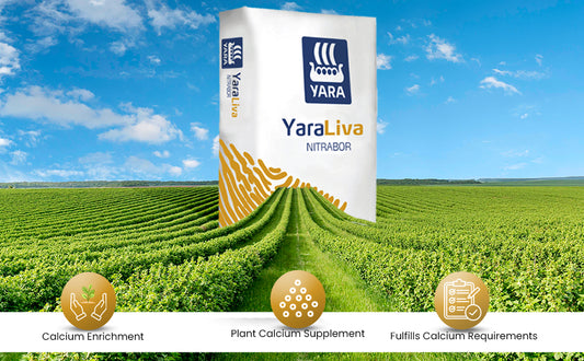 Yara Liva Nitrabor Plant nutrient 5 Kgs Readily Dissolvable and fine Granular(calcium,boron and fast acting  Nitrate nitrogen)