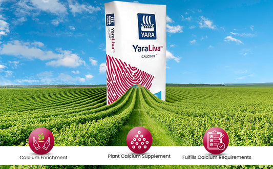 YARA Liva Calcinit Plant Food Calcium Supplement For Plants,Promotes Healthy Growth and Fulfills Calcium related deficiencies in Plants(Suitable for Fruit,vegetable and Herbs)